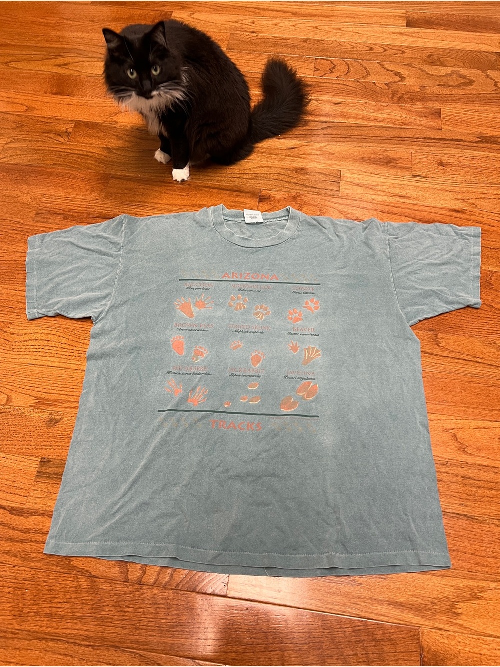 Vintage 1993 single stitch Arizona Tracks Graphic Tee - Light Teal